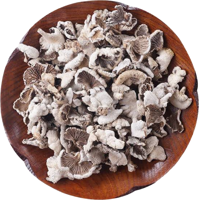 雲南野生白參菌 Yunnan Splitgill Mushrooms - 25g
